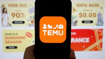 The logo of Temu, an e-commerce platform owned by PDD Holdings, is seen on a mobile phone displayed in front of its website. (REUTERS)