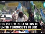 THIS IS HOW INDIA SEEKS TO PUNISH TERRORISTS IN J&K