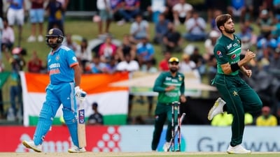 Pakistan's Shaheen Afridi celebrates the wicket of Indian skipper Rohit Sharma during their match in the Asia Cup 2023 (ANI ) Pakistan's Shaheen Afridi celebrates the wicket of Indian skipper Rohit Sharma during their match in the Asia Cup 2023 (ANI )