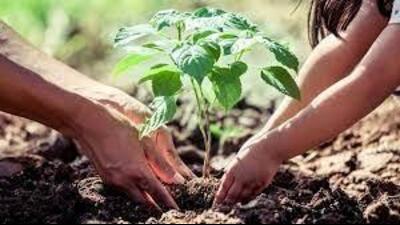 The participants were also encouraged to take up plantation drives in their respective areas. (HT FILE) The participants were also encouraged to take up plantation drives in their respective areas. (HT FILE)