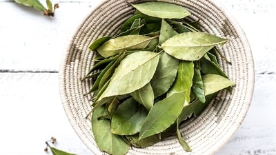 The representational image of bay leaf. (Unplash) The representational image of bay leaf. (Unplash)