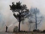 A Czech firefighter tries to extinguish a wildfire burning near the village of Provatonas in the region of Evros, Greece, September 3.
