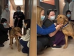 The image shows people petting and kissing the dog named Jax. The image shows people petting and kissing the dog named Jax.