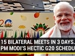 15 BILATERAL MEETS IN 3 DAYS... PM MODI'S HECTIC G20 SCHEDULE