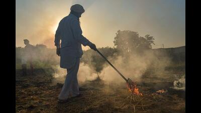 During the harvest in October-November, Punjab farmers usually have a shorter window to clear their fields for the winter crop. Invariably, many choose to burn the paddy stubble left behind after harvest, sending up plumes of smoke that drifts over to large population centres, sink and choke settlements in toxic smog. During the harvest in October-November, Punjab farmers usually have a shorter window to clear their fields for the winter crop. Invariably, many choose to burn the paddy stubble left behind after harvest, sending up plumes of smoke that drifts over to large population centres, sink and choke settlements in toxic smog.