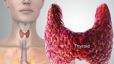 1. Thyroid Function Tests: The thyroid gland plays a crucial role in regulating metabolism. If the thyroid gland is underactive (hypothyroidism), it can lead to a slow metabolism, making it easier to gain weight. Despite eating healthy, individuals with hypothyroidism may struggle to lose weight or even experience weight gain. Thyroid function tests, such as TSH (Thyroid Stimulating Hormone) and T4 (thyroxine) levels, can help assess the thyroid's functioning and identify any issues that may be contributing to weight changes. (Twitter/WebMD) 1. Thyroid Function Tests: The thyroid gland plays a crucial role in regulating metabolism. If the thyroid gland is underactive (hypothyroidism), it can lead to a slow metabolism, making it easier to gain weight. Despite eating healthy, individuals with hypothyroidism may struggle to lose weight or even experience weight gain. Thyroid function tests, such as TSH (Thyroid Stimulating Hormone) and T4 (thyroxine) levels, can help assess the thyroid's functioning and identify any issues that may be contributing to weight changes. (Twitter/WebMD)