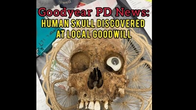Picture of the human skull found in the donation box. (Instagram/@Good Year Police) Picture of the human skull found in the donation box. (Instagram/@Good Year Police)