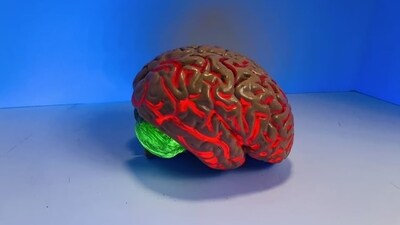 How mutant protein can invade brain: Study (Unsplash) How mutant protein can invade brain: Study (Unsplash)