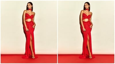 On Thursday, Ananya gave her fans a sweet surprise as she took to Instagram and uploaded a series of pictures accompanied by the caption "Celebrating #DreamGirl2". (Instagram/@ananyapanday) On Thursday, Ananya gave her fans a sweet surprise as she took to Instagram and uploaded a series of pictures accompanied by the caption "Celebrating #DreamGirl2". (Instagram/@ananyapanday)