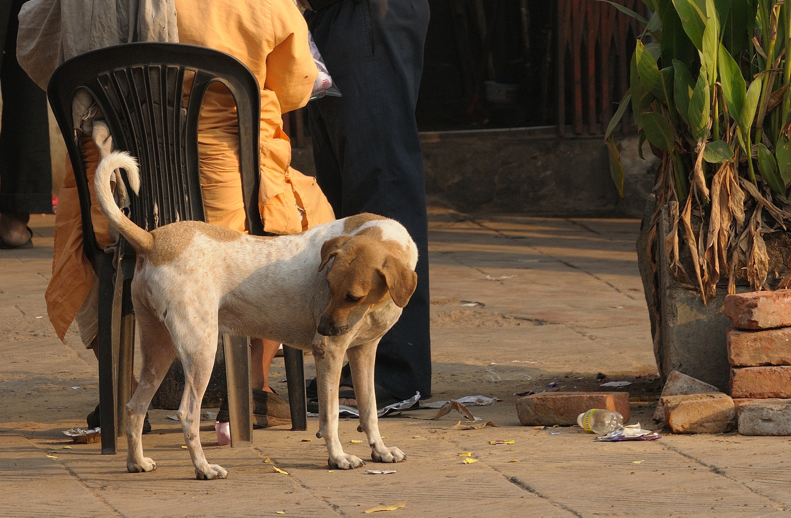 A point to ponder: Why is the conflict mostly in urban areas? (Prerna Jain) A point to ponder: Why is the conflict mostly in urban areas? (Prerna Jain)