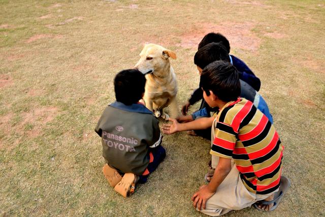 Friends furrever (Prerna Jain) Friends furrever (Prerna Jain)