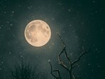 Let's delve a bit deeper into the energy of the new moon. ( Representational Image) Let's delve a bit deeper into the energy of the new moon. ( Representational Image)
