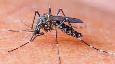 Health officials have issued an advisory to people regarding preventive measures. (For Representation)