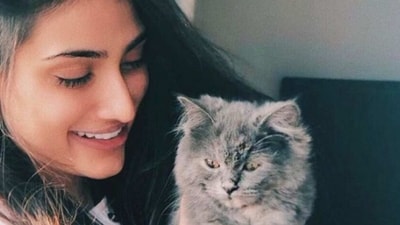 Athiya Shetty, a prominent figure known for her elegance and style, is a proud cat mom to Brody who adds an extra dose of charm to her life. Their bond is evident in the heartwarming pictures that capture the love and bond between them. (Instagram) Athiya Shetty, a prominent figure known for her elegance and style, is a proud cat mom to Brody who adds an extra dose of charm to her life. Their bond is evident in the heartwarming pictures that capture the love and bond between them. (Instagram)