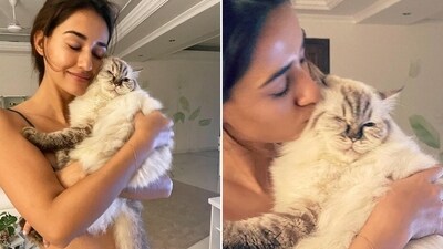 Disha Patani, the fitness enthusiast and Bollywood sensation, is a cat mom to two feline darlings, Jasmine and Keety. She often posts pictures and videos of her cuddling these cute cats. (Instagram) Disha Patani, the fitness enthusiast and Bollywood sensation, is a cat mom to two feline darlings, Jasmine and Keety. She often posts pictures and videos of her cuddling these cute cats. (Instagram)