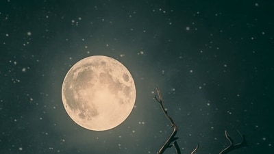 Let's delve a bit deeper into the energy of the new moon. ( Representational Image) (Pixabay) Let's delve a bit deeper into the energy of the new moon. ( Representational Image) (Pixabay)