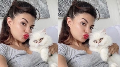 Jacqueline Fernandez takes her love for cats to the next level with not one, not two, but four feline companions, Yoda, Loki, Miumiu, and Xyza. She is truly an obsessed cat mom. (Instagram) Jacqueline Fernandez takes her love for cats to the next level with not one, not two, but four feline companions, Yoda, Loki, Miumiu, and Xyza. She is truly an obsessed cat mom. (Instagram)