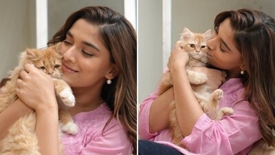 Saiee M Manjrekar, known for her elegance on and off the red carpet, is equally graceful when it comes to her two beautiful cats, Ella and Bella. Her Instagram is a treat for all cat lovers as she often poses with her furry friends, showcasing their majestic beauty. (Instagram) Saiee M Manjrekar, known for her elegance on and off the red carpet, is equally graceful when it comes to her two beautiful cats, Ella and Bella. Her Instagram is a treat for all cat lovers as she often poses with her furry friends, showcasing their majestic beauty. (Instagram)