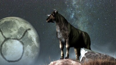 Weekly Horoscope Taurus, September 10-16, 2023:: There will be prosperity this week and health will also be positive. (shutterstock)