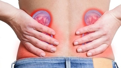 Kidney cancer: Causes, diagnosis, drawbacks of conventional surgery, breakthrough treatments (Photo by Twitter/CSGMallorca) Kidney cancer: Causes, diagnosis, drawbacks of conventional surgery, breakthrough treatments (Photo by Twitter/CSGMallorca)