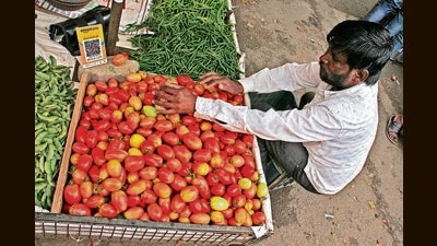 Farmers expressed their anger over fall in price of tomatoes by dumping the produce at Nashik’s Pimpalgaon market on Saturday. (HT PHOTO)