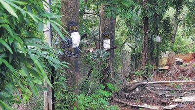 The tank is the first phase of the BMC’s ambitious plan to reconstruct the 140-year-old reservoir at Malabar Hill, one of the first artificial reservoirs built to meet the island city’s water requirements. (Photo by Bhushan Koyande/HT Photo)
