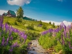 Gulmarg is one of the most renowned tourist destinations, attracting a large number of tourists from all over the countryside. Gulmarg is one of the most renowned tourist destinations, attracting a large number of tourists from all over the countryside.