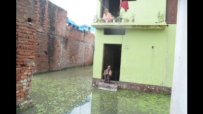 A waterlogged locality in Firozabad. (HT) A waterlogged locality in Firozabad. (HT)