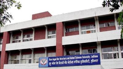 Vet varsity to confer CM awards on four progressive farmers during pashu palan mela. (HT FILE) Vet varsity to confer CM awards on four progressive farmers during pashu palan mela. (HT FILE)