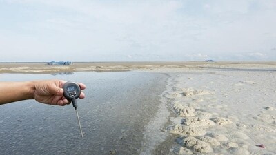 Environmental toxins: Exposure to certain chemicals and toxins can be harmful to the liver. Make sure to detox with natural remedies. (Shutterstock) Environmental toxins: Exposure to certain chemicals and toxins can be harmful to the liver. Make sure to detox with natural remedies. (Shutterstock)