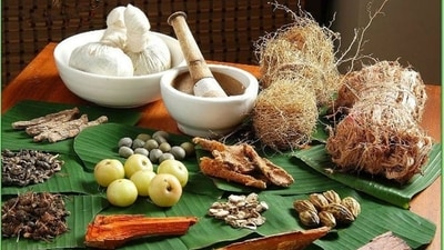 “The skin is the largest external organ of the human body and it grows the fastest of all organs. Looking young and staying young has been a goal since the beginning of time. The ancient medical science of Ayurveda contains several anti-ageing principles. It provides a safe and long-lasting remedy for skin care and anti-ageing, opening up new spheres of wellness, health and beauty,” says Dr. Jangda. Here are a few Ayurvedic remedies for skin ageing suggested by Dr. Jangda in her recent Instagram post. (Pinterest) “The skin is the largest external organ of the human body and it grows the fastest of all organs. Looking young and staying young has been a goal since the beginning of time. The ancient medical science of Ayurveda contains several anti-ageing principles. It provides a safe and long-lasting remedy for skin care and anti-ageing, opening up new spheres of wellness, health and beauty,” says Dr. Jangda. Here are a few Ayurvedic remedies for skin ageing suggested by Dr. Jangda in her recent Instagram post. (Pinterest)
