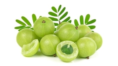 Amla: Amla or Amalaki is a rich source of anti-oxidants and Vitamin C. Its anti-ageing properties can promote healthy skin by firming it, reducing signs of ageing, and making your skin glow. The herb also has visible effects on hair texture, strength and growth. (Unsplash) Amla: Amla or Amalaki is a rich source of anti-oxidants and Vitamin C. Its anti-ageing properties can promote healthy skin by firming it, reducing signs of ageing, and making your skin glow. The herb also has visible effects on hair texture, strength and growth. (Unsplash)