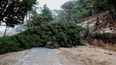 A fallen tree is pictured as a powerful storm and heavy rainfall hit Shahhat city, Libya. (Ali Al-Saadi / Reuters) A fallen tree is pictured as a powerful storm and heavy rainfall hit Shahhat city, Libya. (Ali Al-Saadi / Reuters)
