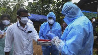 Health workers collect blood samples from goats in the neighborhood for testing after a 12-year-old boy died of the Nipah virus in Kozhikode, Kerala state, India, Tuesday, Sept.7, 2021. The southern Indian state is quickly ramping up efforts to stop a potential outbreak of the deadly Nipah virus, even as it continues to battle the highest number of coronavirus cases in the country. (AP) Health workers collect blood samples from goats in the neighborhood for testing after a 12-year-old boy died of the Nipah virus in Kozhikode, Kerala state, India, Tuesday, Sept.7, 2021. The southern Indian state is quickly ramping up efforts to stop a potential outbreak of the deadly Nipah virus, even as it continues to battle the highest number of coronavirus cases in the country. (AP)