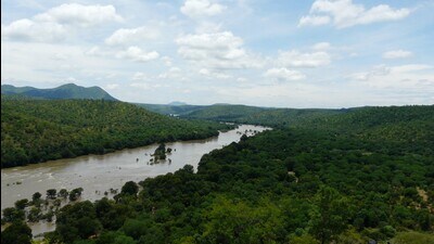 On August 28, despite resistance from Karnataka, the CWRC issues a similar order directing Karnataka to release 5,000 cusecs of water to Tamil Nadu for a 15-day period. (HT Archives) On August 28, despite resistance from Karnataka, the CWRC issues a similar order directing Karnataka to release 5,000 cusecs of water to Tamil Nadu for a 15-day period. (HT Archives)