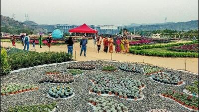 The plants commonly used in xeriscaping are xerophytes in nature, meaning they can survive in areas with limited water. (HT Archive) The plants commonly used in xeriscaping are xerophytes in nature, meaning they can survive in areas with limited water. (HT Archive)