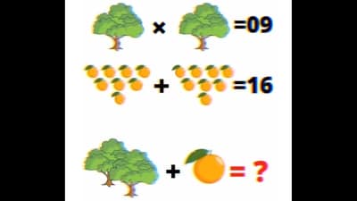 Brain Teaser: What is the sum of two trees and one orange in this brain teaser? (Instagram/@mathcince) Brain Teaser: What is the sum of two trees and one orange in this brain teaser? (Instagram/@mathcince)