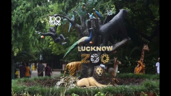 The zoo is gearing up to showcase a photo exhibition featuring big cats on its premises this Thursday. (HT Photo)