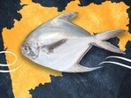 Minister Sudhir Mungantiwar during a national conference on the Kisan Credit Card on Monday declared silver pomfret the ‘state fish’ of Maharashtra. ((PIC FOR REPRESENTATION))
