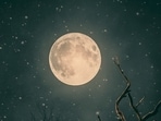 Let's delve a bit deeper into the energy of the new moon. ( Representational Image)