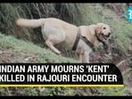 INDIAN ARMY MOURNS 'KENT' KILLED IN RAJOURI ENCOUNTER