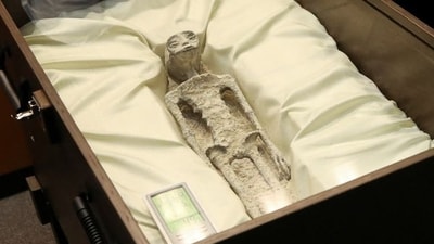 One of the two ‘non-human alien corpses’ displayed at Mexico Congress (X(formerly Twitter)/@iohmbra) One of the two ‘non-human alien corpses’ displayed at Mexico Congress (X(formerly Twitter)/@iohmbra)