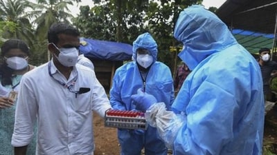 Health workers collect blood samples from goats in the neighborhood for testing after a 12-year-old boy died of the Nipah virus in Kozhikode. (AP) Health workers collect blood samples from goats in the neighborhood for testing after a 12-year-old boy died of the Nipah virus in Kozhikode. (AP)