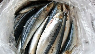 France Botulism: Botulism is usually caused by eating food that has been improperly preserved. (Representational) France Botulism: Botulism is usually caused by eating food that has been improperly preserved. (Representational)