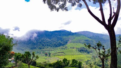 Coonoor, Tamil Nadu: Coonoor, a picturesque destination, is an idyllic choice for a September getaway. Explore its enchanting attractions including Sim's Park, Dolphin's Nose, Lamb's Rock, Catherine Falls, Lady Canning's Seat, Droog Fort, and St. George's Church. (File Photo (istockphoto) ) Coonoor, Tamil Nadu: Coonoor, a picturesque destination, is an idyllic choice for a September getaway. Explore its enchanting attractions including Sim's Park, Dolphin's Nose, Lamb's Rock, Catherine Falls, Lady Canning's Seat, Droog Fort, and St. George's Church. (File Photo (istockphoto) )