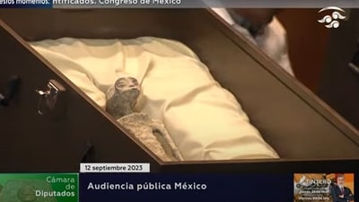 Video ScreenGrab (Source: Canal del Congreso México) Video ScreenGrab (Source: Canal del Congreso México)
