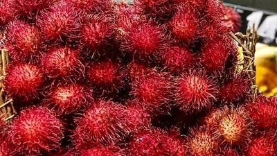 Geraniin is a polyphenol which is hydrolysable in nature and possess antioxidant properties and is from the rambutan fruit rind, which may restore biomarkers of oxidative stress, redox balance of glutathione, and serum antioxidants to levels like control.&nbsp; (Freepik)