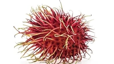 Rambutan is a low-calorie fruit that is abundant in water and fibre. This combination may help you avoid overeating and feel fuller for longer, both of which can help you lose weight over time.&nbsp; (Freepik)