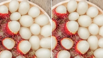 Rambutan includes vitamin and niacin vitamin B3, which contribute to the better functioning of the human body by boosting the metabolic process as well as the defence systems. Fat-soluble vitamins (A, D, E, and K) are found to be present in rambutan, which boost the immune system. Vitamin C may also help to fight ageing by keeping white blood cells healthy.&nbsp; (Freepik)