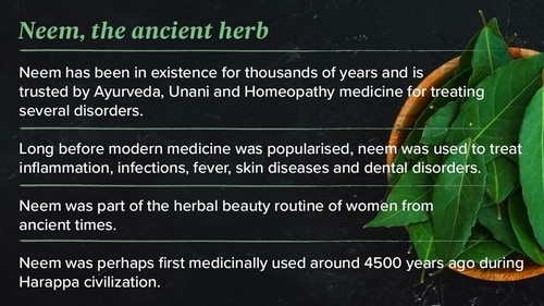 Neem was perhaps first medicinally used around 4500 years ago during Harappa civilization Neem was perhaps first medicinally used around 4500 years ago during Harappa civilization